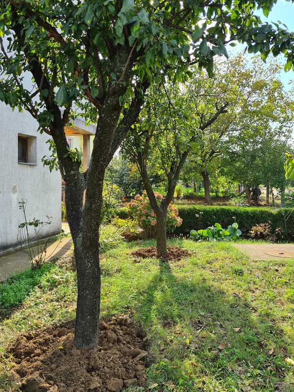 Prodaje se kuca u Smederevu 5