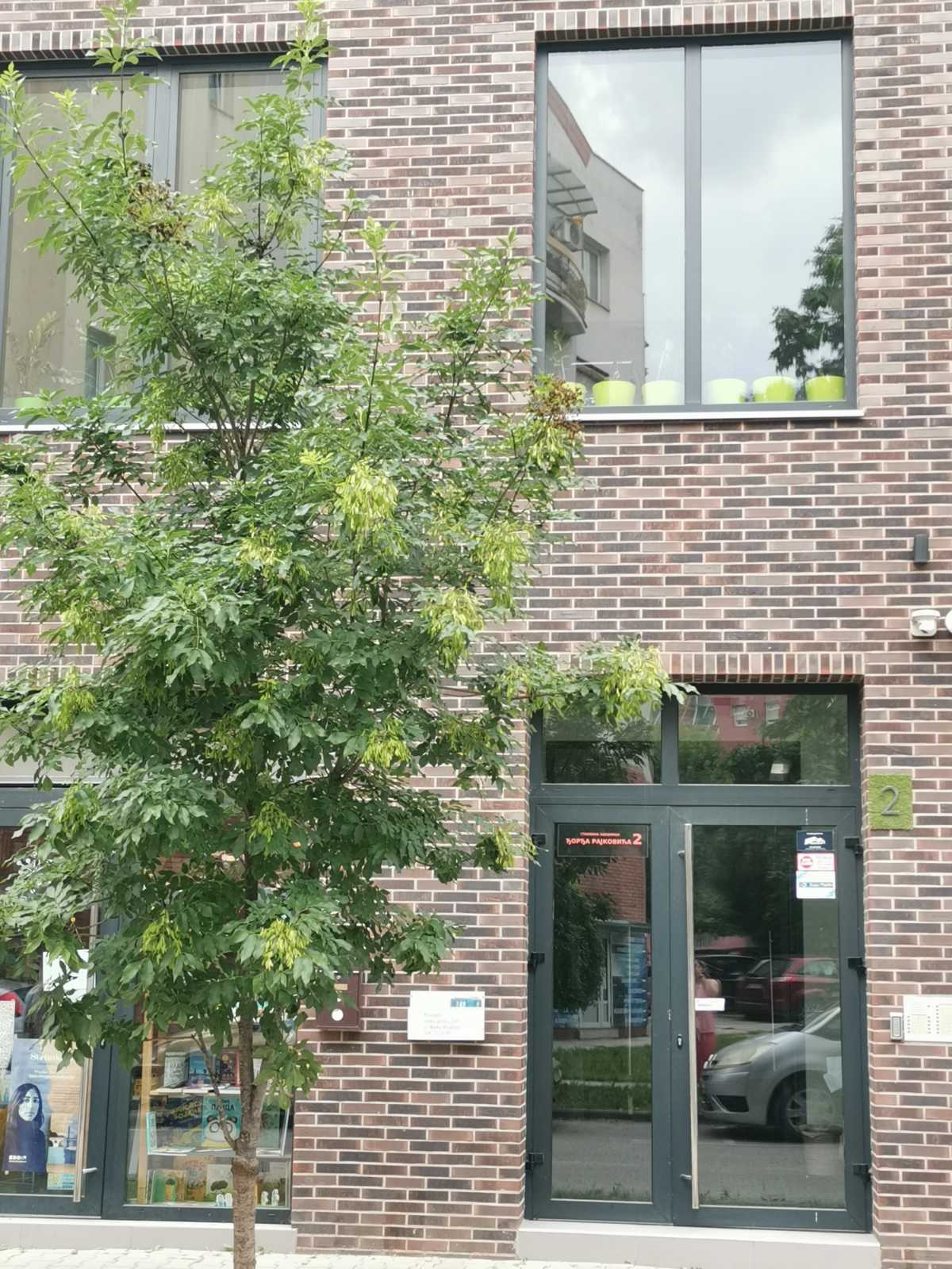 Izdaje se polunamesten stan u Novom Sadu 3