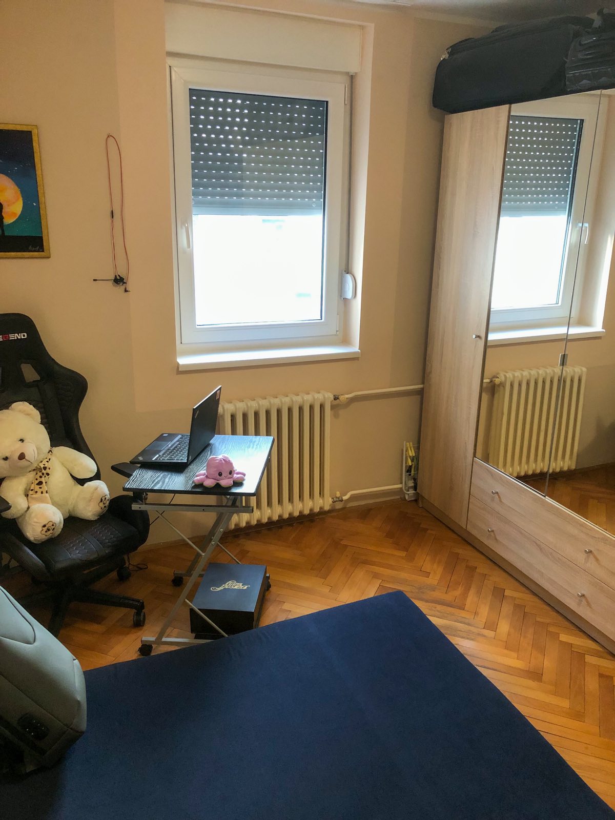 Fantasticna prilika   Stan Novi Sad Podbara 5