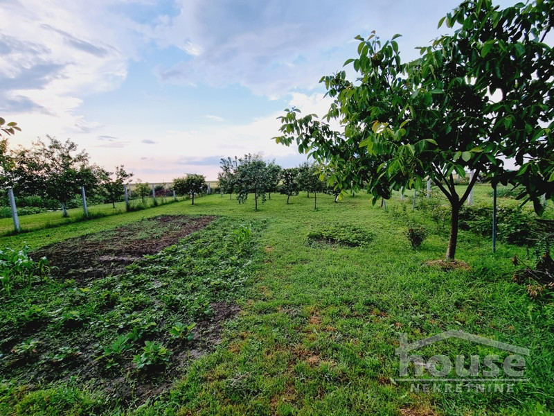Kuca,BUDISAVA,CENTAR98m2,73150€ , ID: 3045765 12