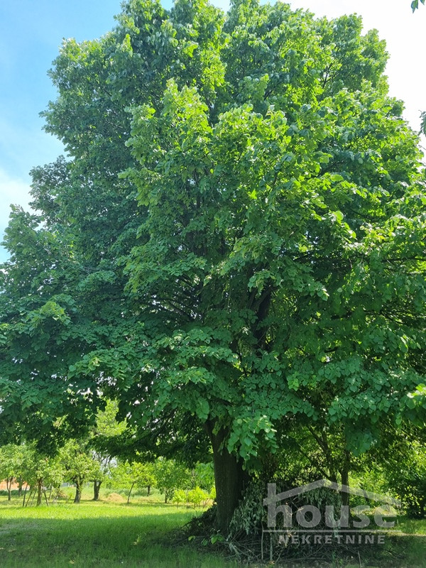 Kuca,SREMSKI KARLOVCI,BANSTOL123m2,69000€ , ID: 3045770 10