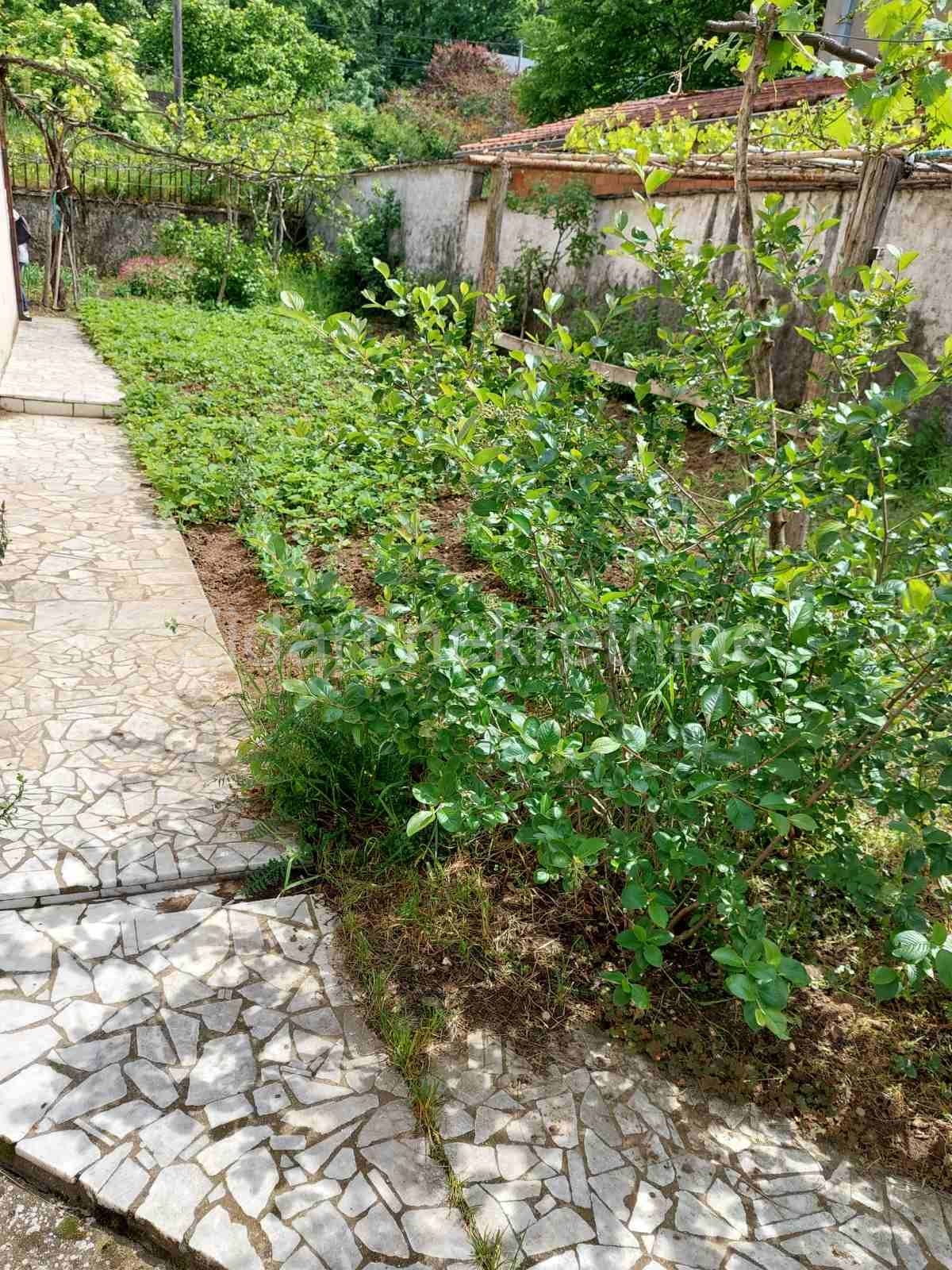 Smederevo, Petrijevo, kuća 398.55m2 19