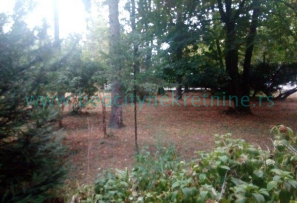 Dvosoban stan, 71 m2, Dedinje, Neznanog junaka ID: 359 13