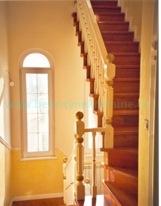 Kuća, 350 m2, Centar, Miće Popovića ID: 27110 9