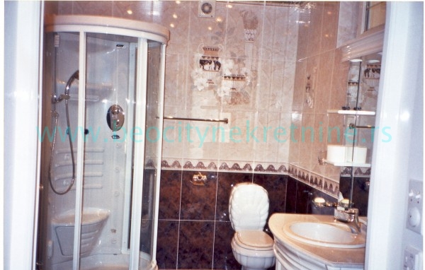 Kuća, 350 m2, Centar, Miće Popovića ID: 27110 6