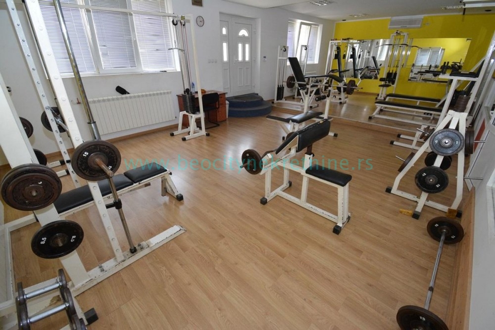 Kuća, 760 m2, Palilula, Lovačka ID: 42516 11