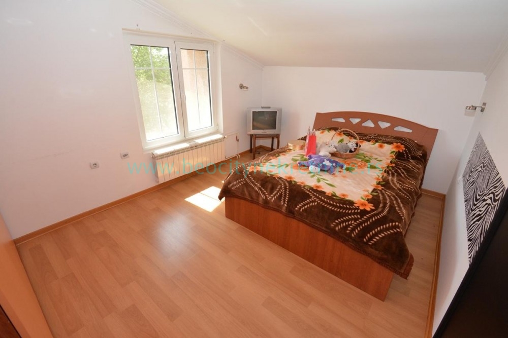 Kuća, 760 m2, Palilula, Lovačka ID: 42516 6