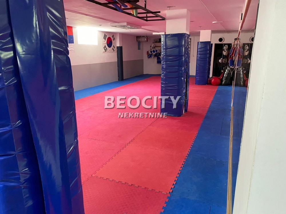 Lokal, 191 m2, Telep, Bulevar Patrijarha Pavla ID: 50849 2