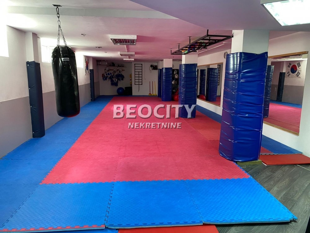 Lokal, 191 m2, Telep, Bulevar Patrijarha Pavla ID: 50849 3