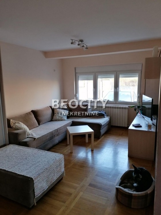 Petosobna kuća, 500 m2, Cvetanova Ćuprija,  Stari vinogradi ID: 70055 1