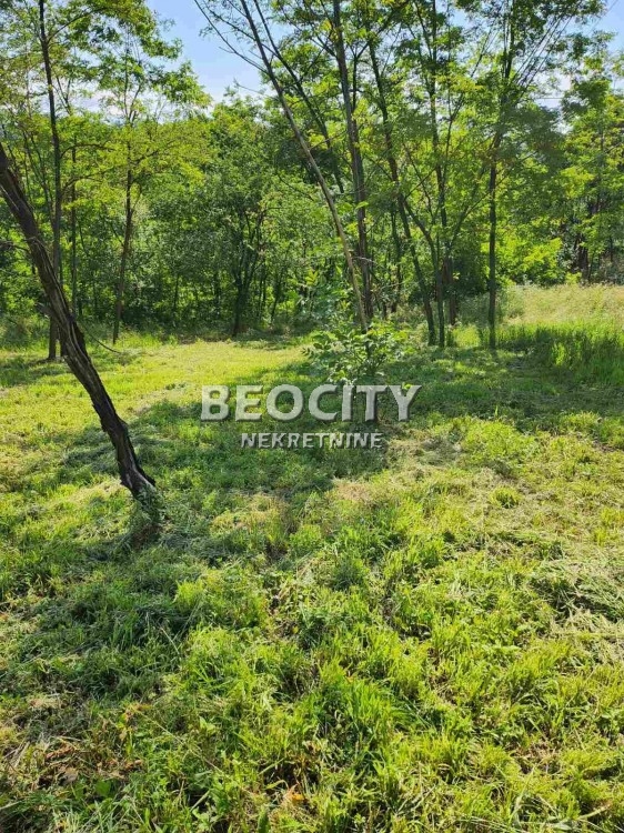 Plac, Barajevo, Slobodana Penezića Krcuna ID: 98829 5