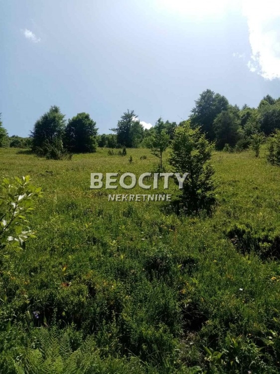 Plac, Centar ID: 99005 9