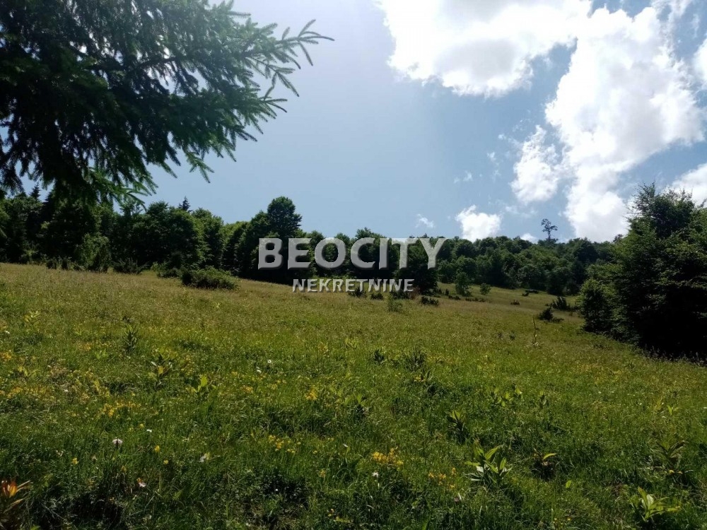 Plac, Centar ID: 99005 4