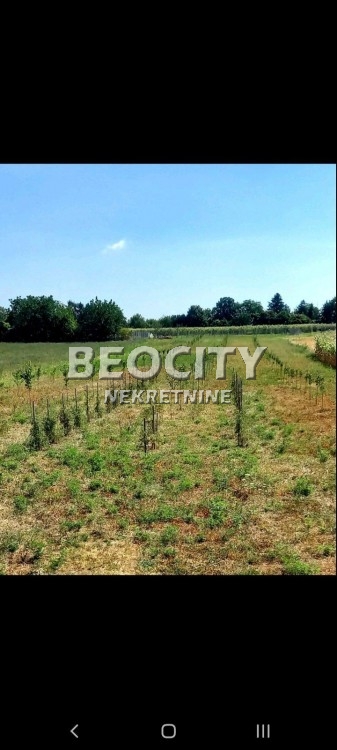 Plac, Ćerević ID: 94493 3