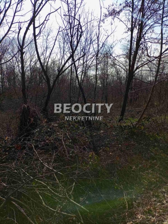 Plac, Grocka, Slavonska ID: 95359 2