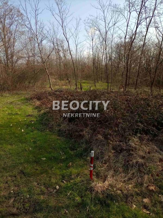 Plac, Grocka, Slavonska ID: 95359 3