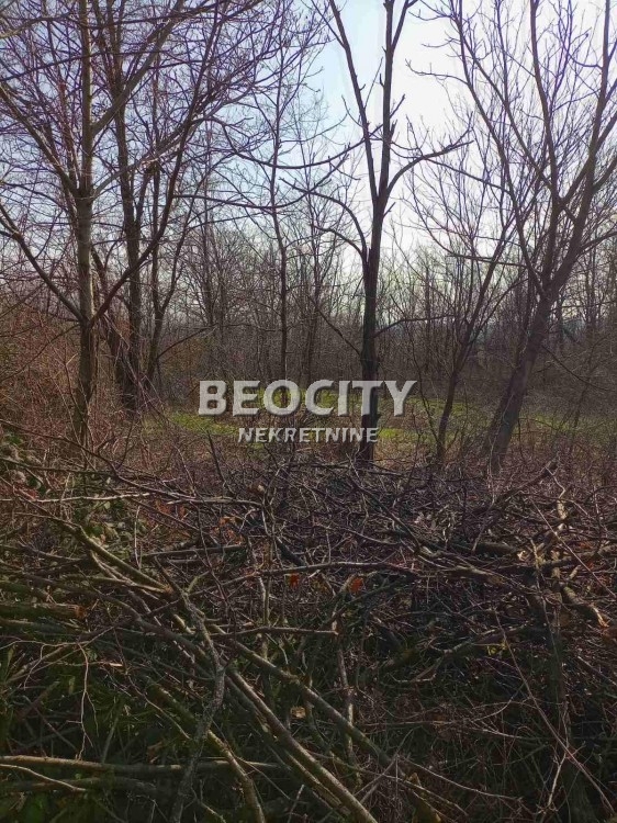 Plac, Grocka, Slavonska ID: 95359 4