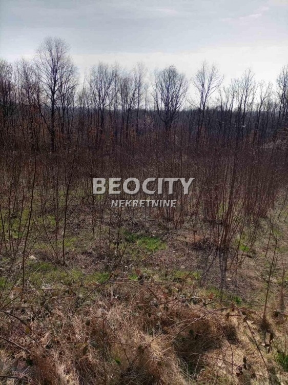 Plac, Grocka, Slavonska ID: 95359 5