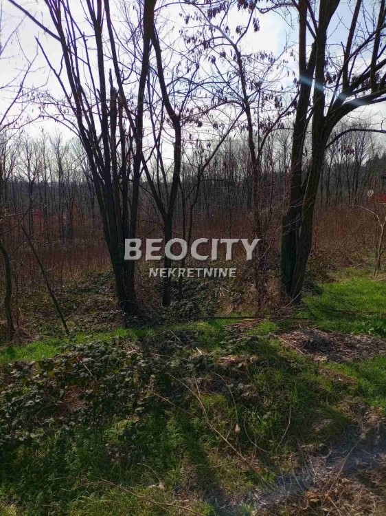 Plac, Grocka, Slavonska ID: 95359 8