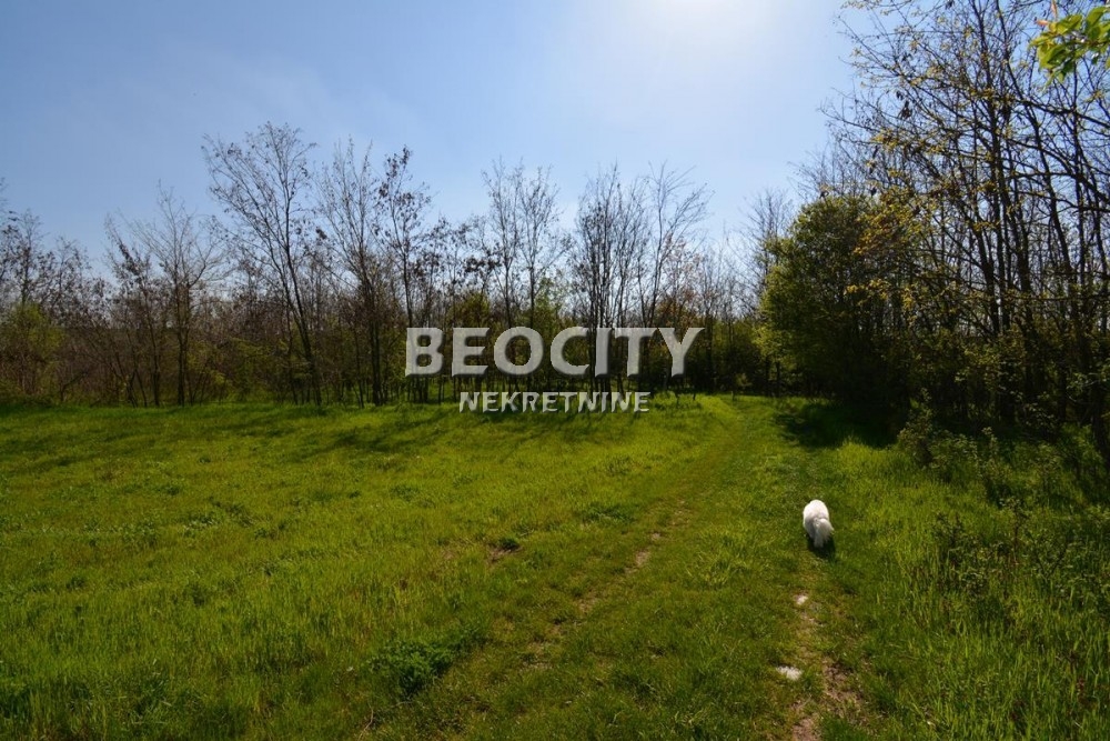 Plac, Grocka, Vojvode Stepe Stepanovića ID: 69699 10