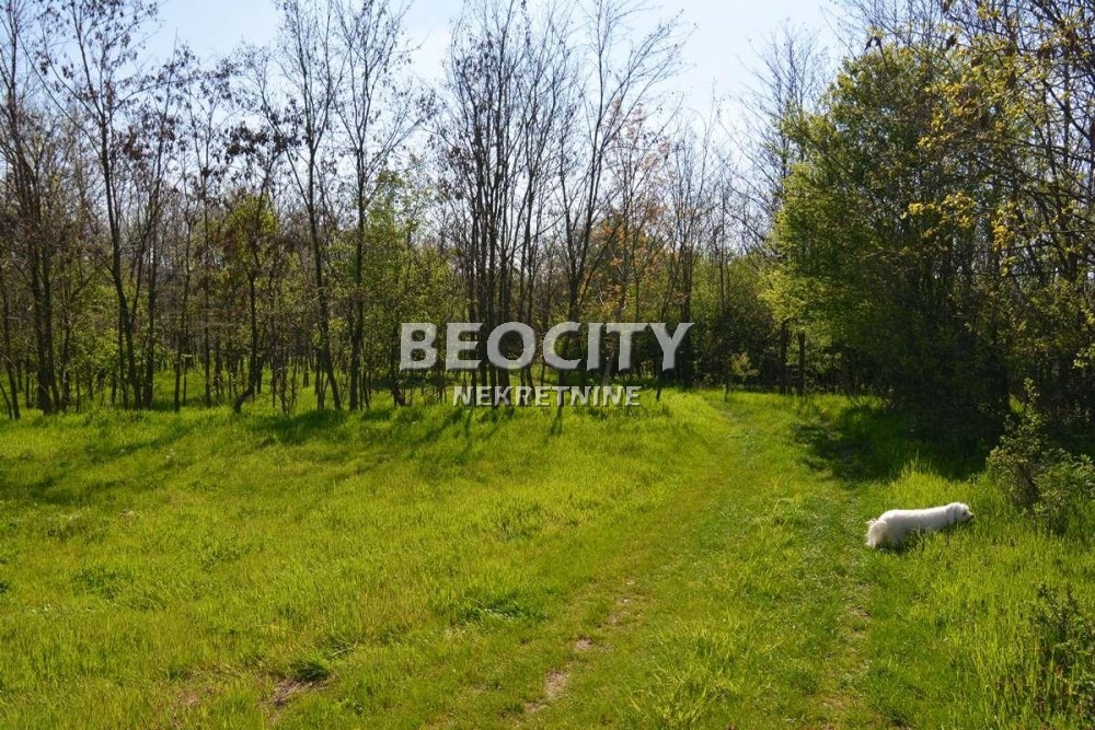 Plac, Grocka, Vojvode Stepe Stepanovića ID: 69699 11