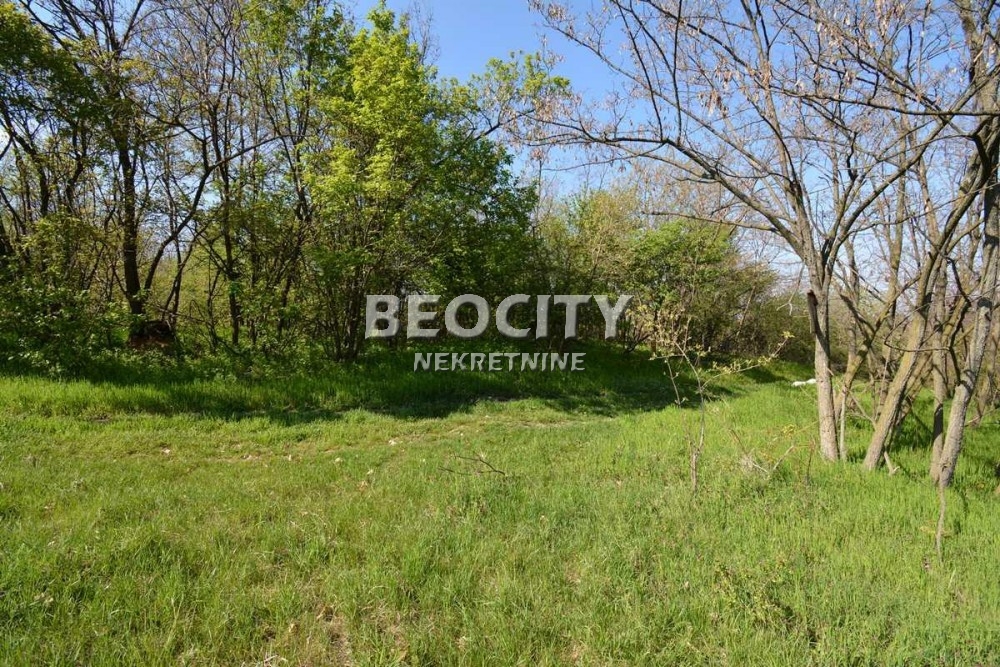 Plac, Grocka, Vojvode Stepe Stepanovića ID: 69699 8