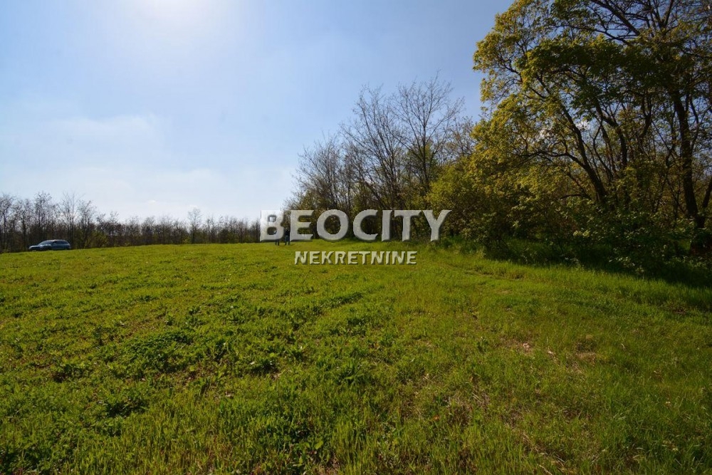 Plac, Grocka, Vojvode Stepe Stepanovića ID: 69699 9