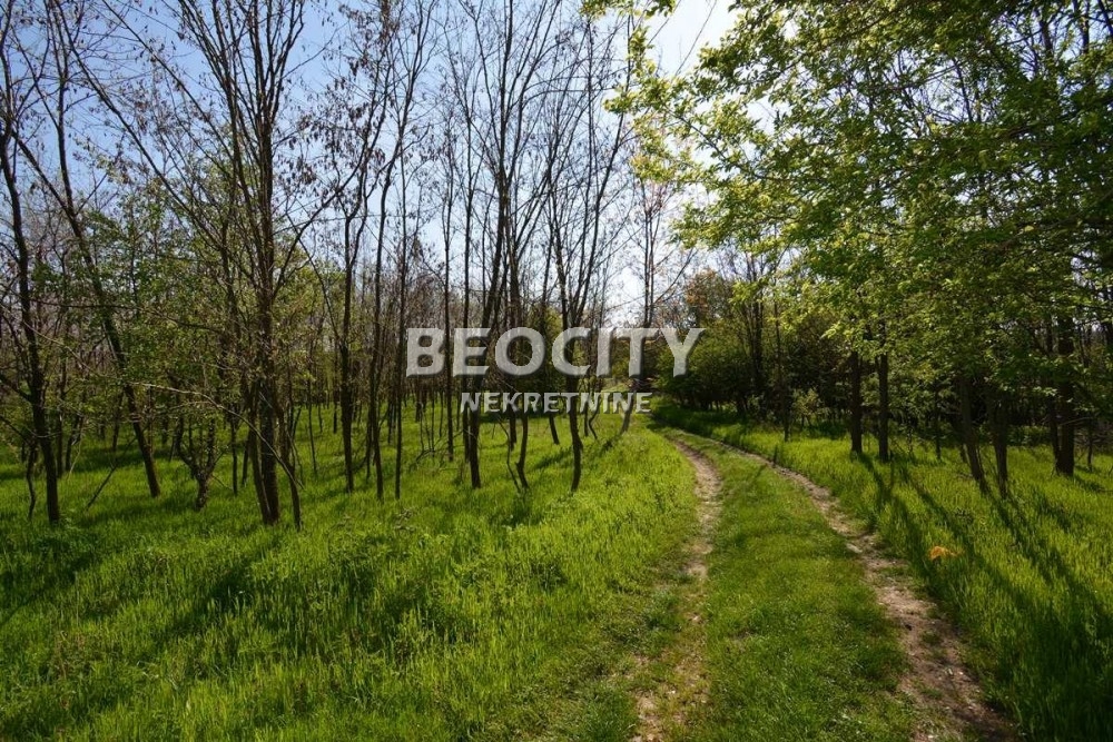 Plac, Grocka, Vojvode Stepe Stepanovića ID: 69699 12