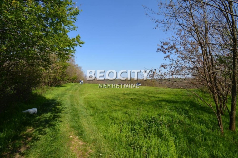 Plac, Grocka, Vojvode Stepe Stepanovića ID: 69699 14