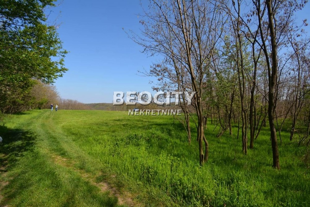 Plac, Grocka, Vojvode Stepe Stepanovića ID: 69699 15