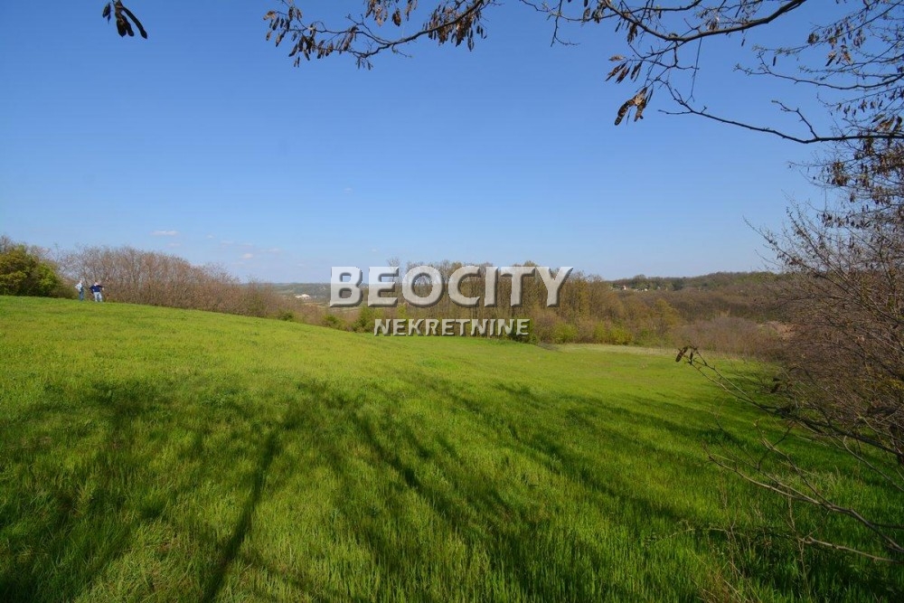 Plac, Grocka, Vojvode Stepe Stepanovića ID: 69699 5