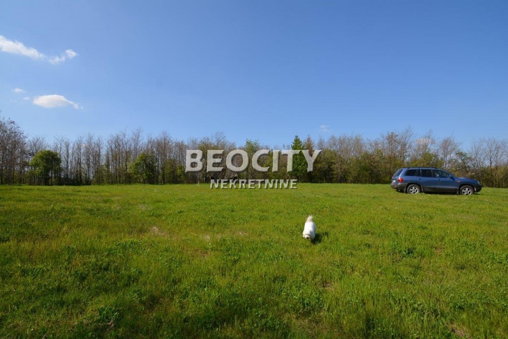 Plac, Grocka, Vojvode Stepe Stepanovića ID: 69699 6