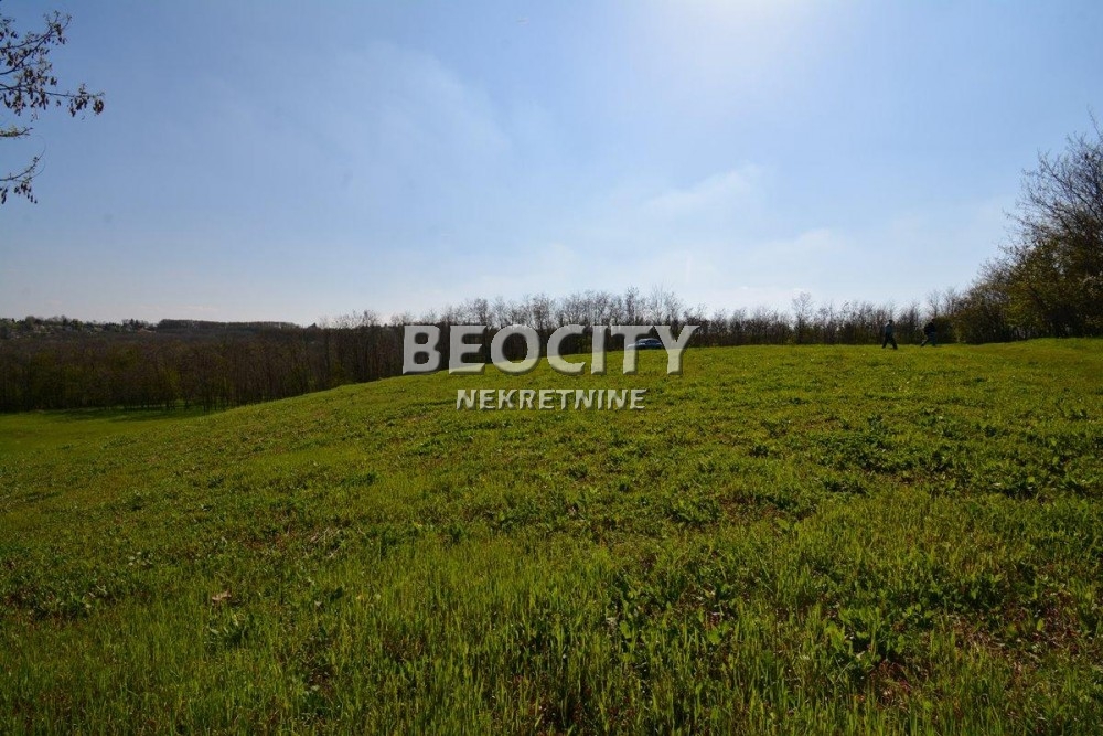 Plac, Grocka, Vojvode Stepe Stepanovića ID: 69699 3