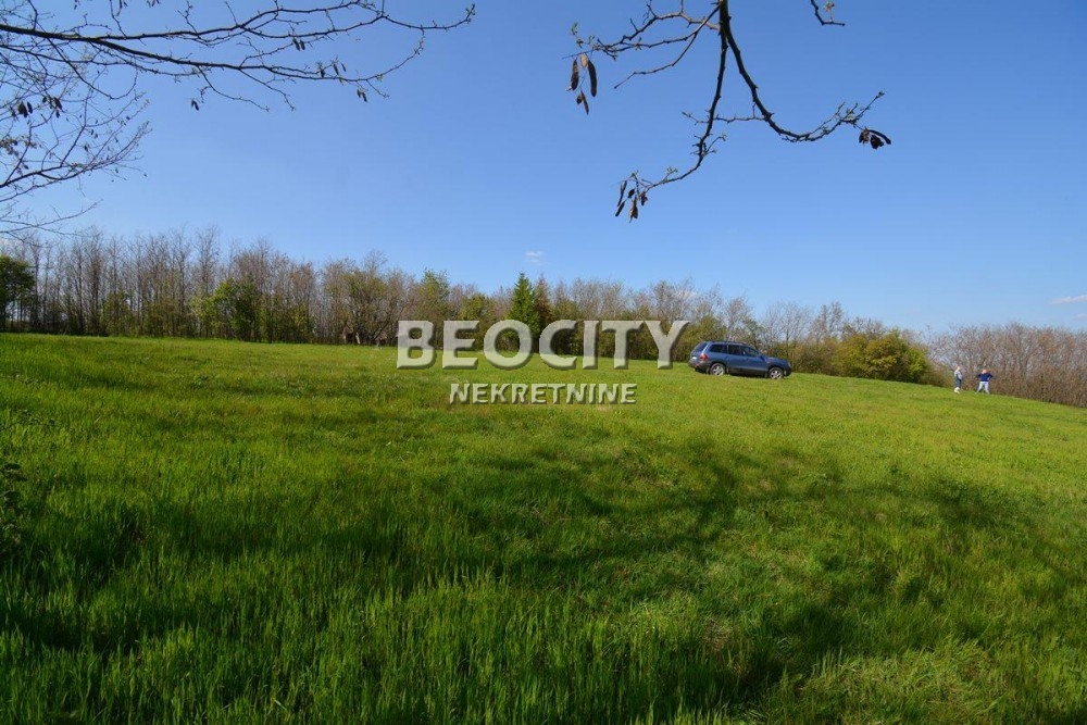 Plac, Grocka, Vojvode Stepe Stepanovića ID: 69699 4