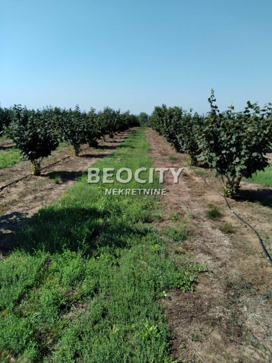 Plac, Mramorak ID: 87875 1