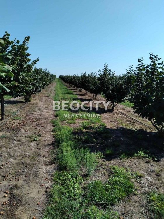 Plac, Mramorak ID: 87875 3