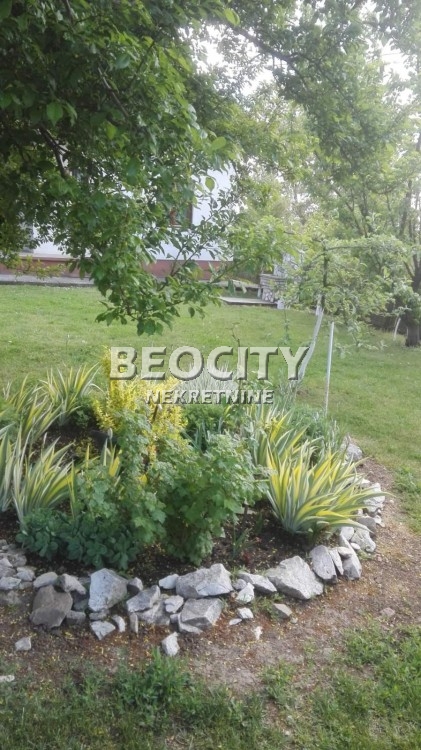 Plac, Natalinci ID: 44817 1