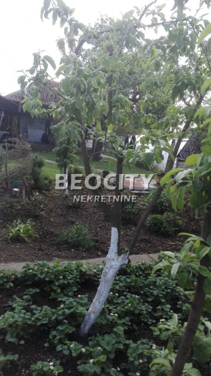 Plac, Natalinci ID: 44817 2