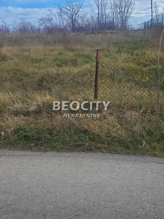 Plac, Palilula, Draginje Adamović ID: 92843 2