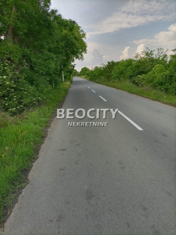 Plac, Palilula, Lole Ribara ID: 98531 2