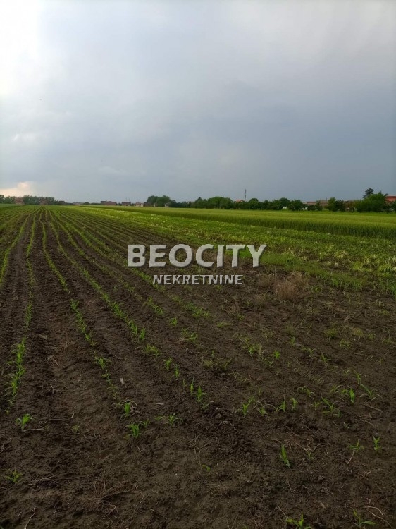 Plac, Palilula, Lole Ribara ID: 98531 4