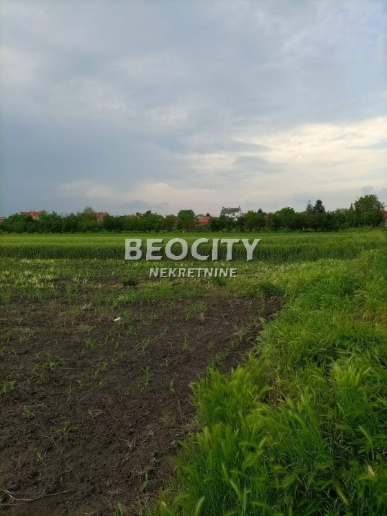 Plac, Palilula, Lole Ribara ID: 98531 5