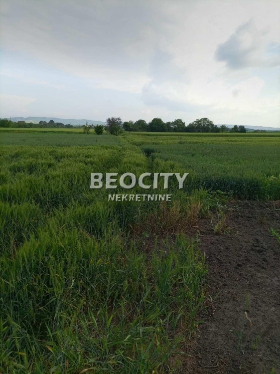 Plac, Palilula, Lole Ribara ID: 98531 6