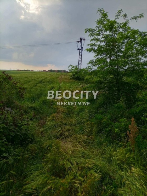 Plac, Palilula, Lole Ribara ID: 98531 7