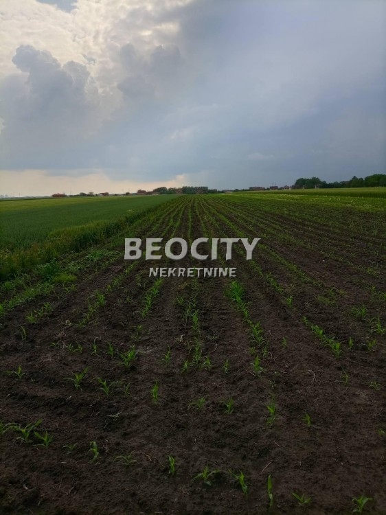 Plac, Palilula, Lole Ribara ID: 98531 12