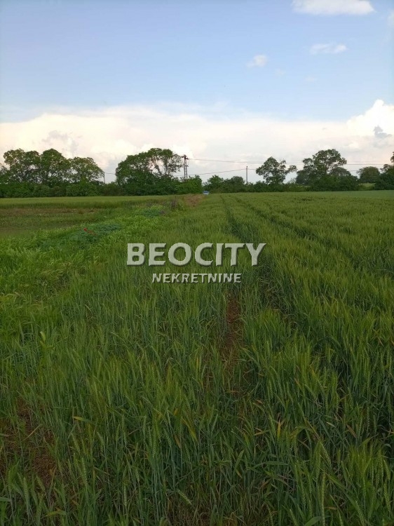 Plac, Palilula, Lole Ribara ID: 98531 13