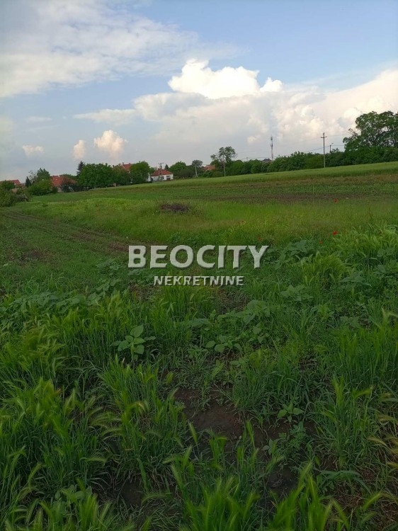 Plac, Palilula, Lole Ribara ID: 98531 10