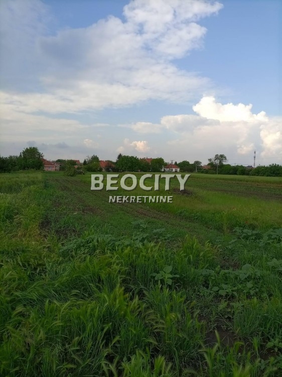 Plac, Palilula, Lole Ribara ID: 98531 9