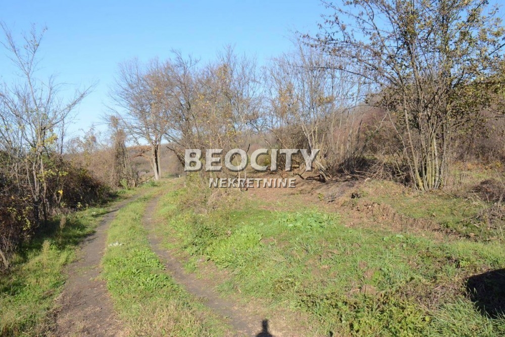 Plac, Pećani, Blagoja Rankovića ID: 94038 4