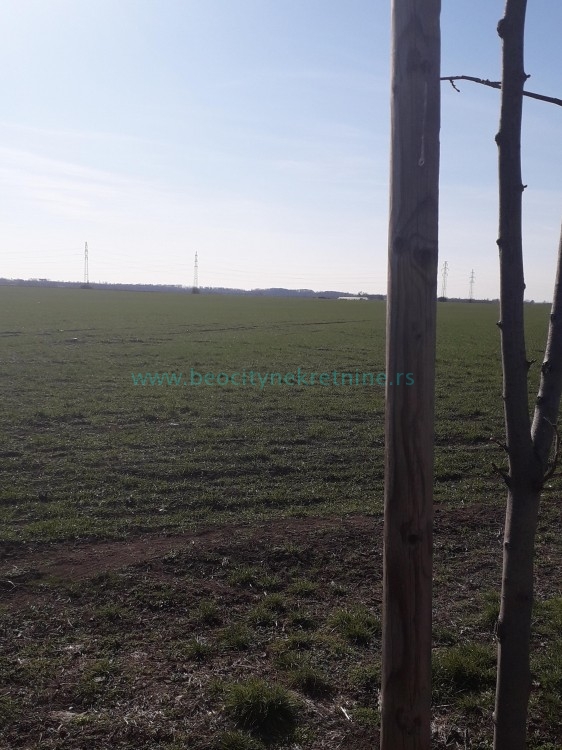 Plac, Plavi horizonti, Jovana Boškovića ID: 39935 7